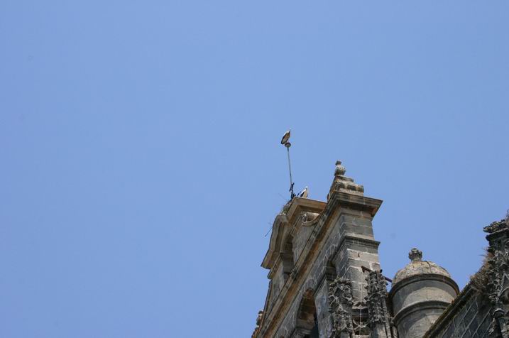Foto de El Puerto de Santa María (Cádiz), España