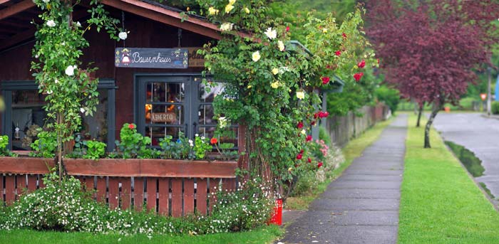 Foto de Frutillar, Chile