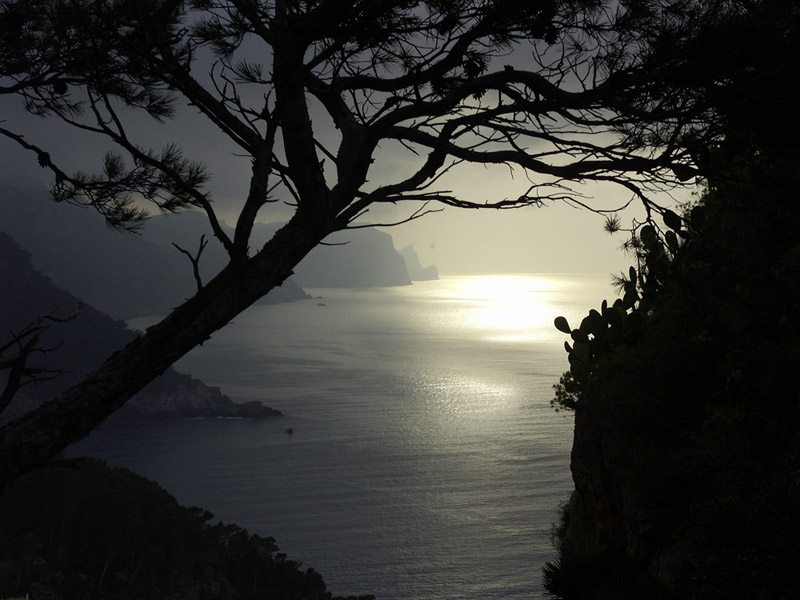 Foto de Mallorca (Illes Balears), España