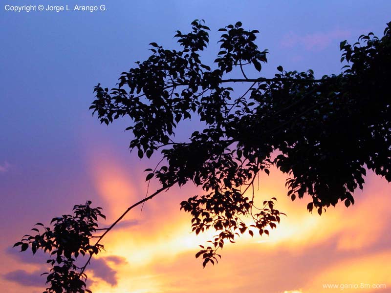 Foto de Medellín, Colombia