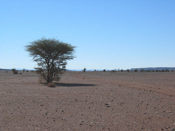 Foto de LAGO IRIKI, Marruecos