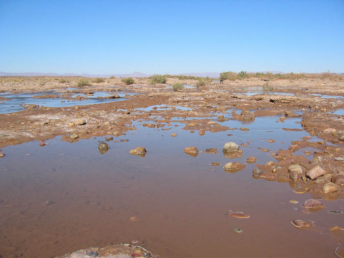 Foto de LAGO IRIKI, Marruecos