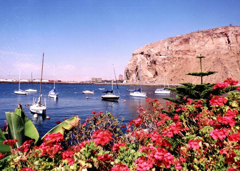 Foto de Arica, Chile