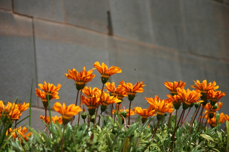 Foto de Cusco, Perú