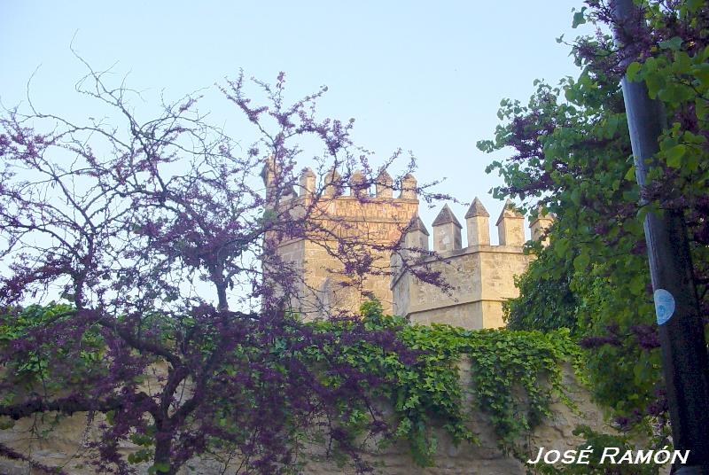 Foto de El Puerto de Santa María (Cádiz), España