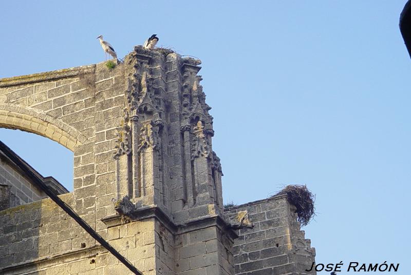Foto de El Puerto de Santa María (Cádiz), España