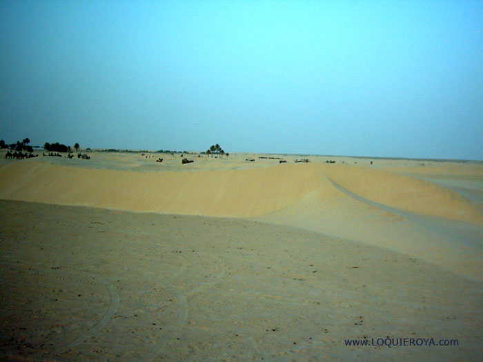 Foto de Douz, Túnez