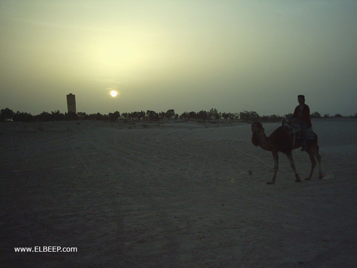 Foto de Douz, Túnez