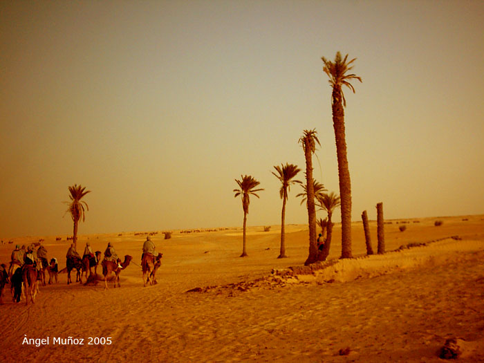 Foto de Douz, Túnez