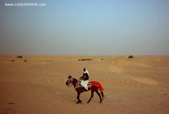 Foto de Douz, Túnez