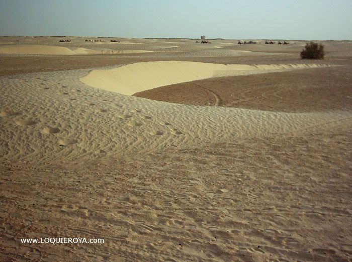 Foto de Douz, Túnez