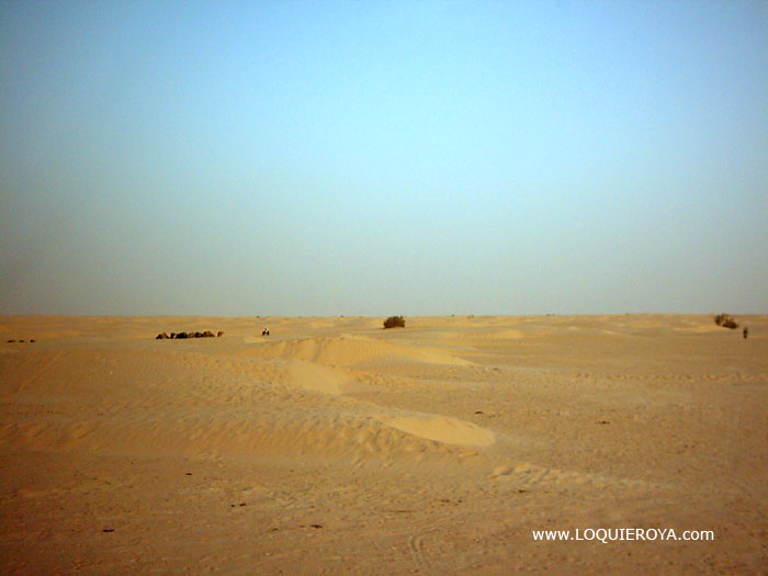 Foto de Douz, Túnez