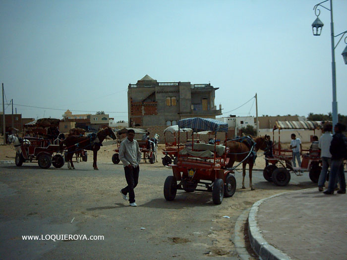 Foto de Nefta, Túnez