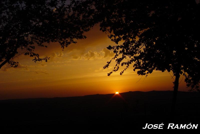 Foto de Jerez de la Frontera (Cádiz), España