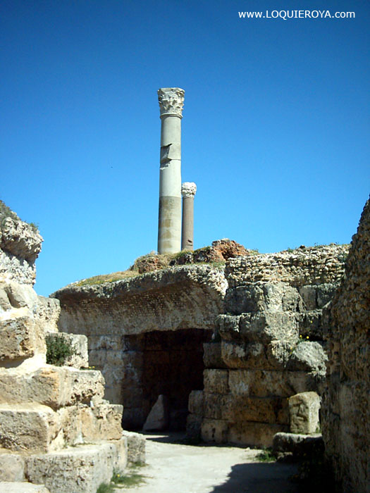 Foto de Carthage, Túnez