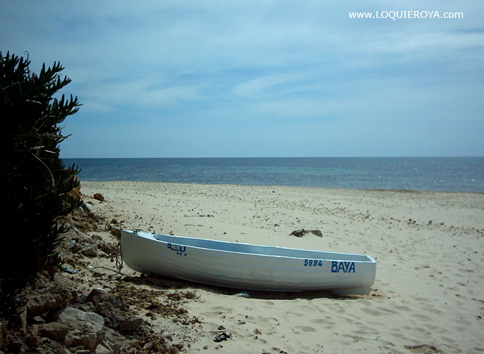 Foto de Hammamet, Túnez