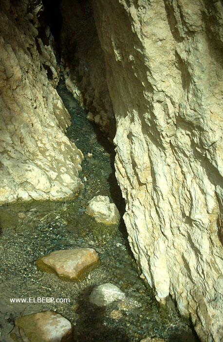 Foto de Chebika, Túnez