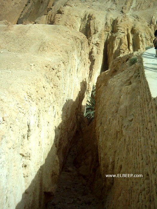 Foto de Chebika, Túnez