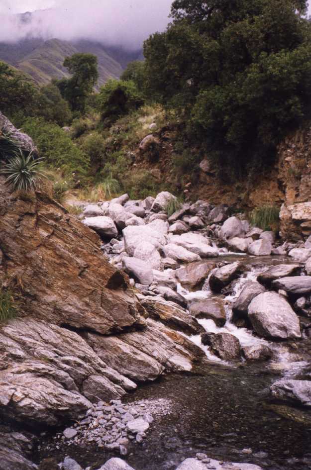Foto de Villa de Merlo_San Luis, Argentina