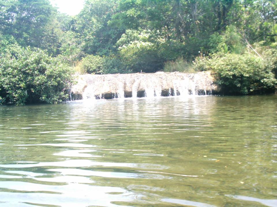 Foto de PALENQUE CHIAPAS, México