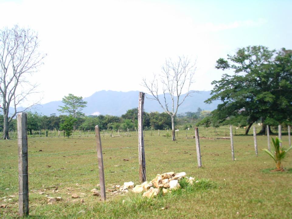 Foto de PALENQUE CHIAPAS, México