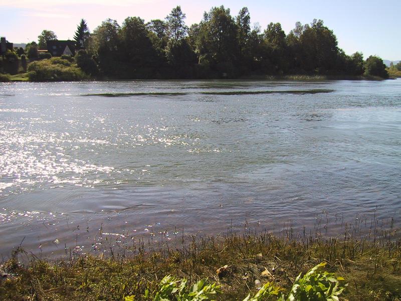 Foto de Valdivia, Chile