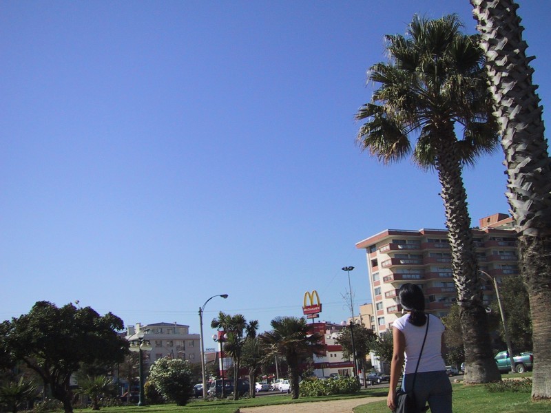 Foto de Viña del Mar, Chile