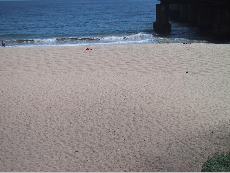 Foto de Viña del Mar, Chile