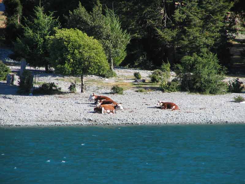 Foto de Lago Todos los Santos, Chile