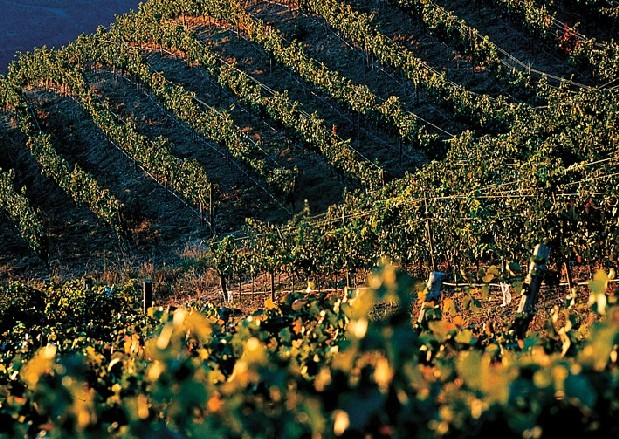 Foto de Colchagua, Chile