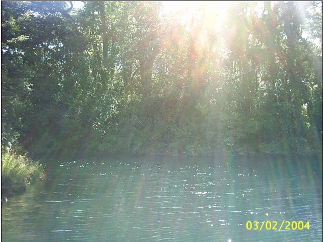 Foto de Puyehue, Chile