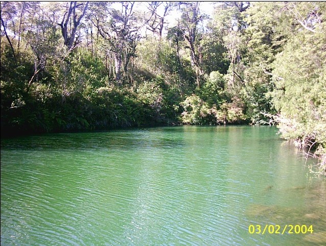 Foto de Puyehue, Chile