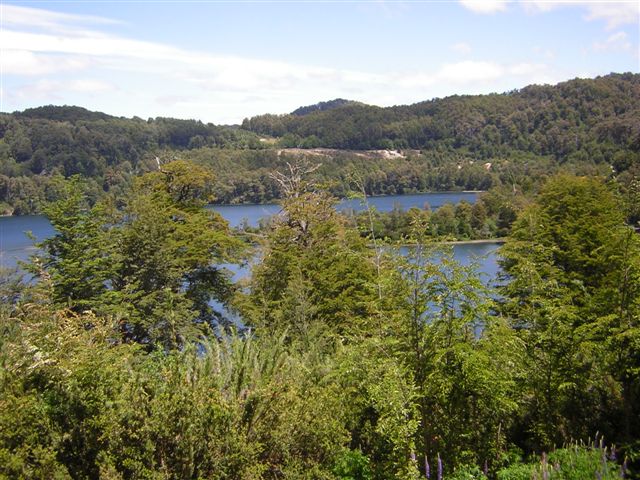 Foto de San Martin de los Andes, Argentina