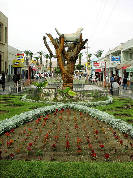 Foto de Tacna, Perú