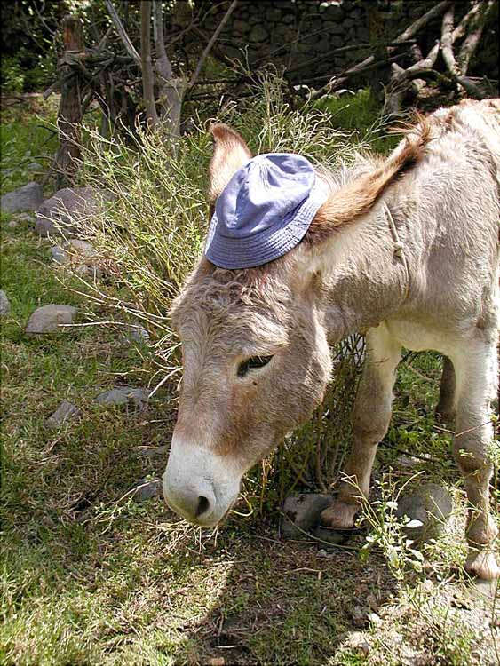 Foto de Callahuanca, Perú