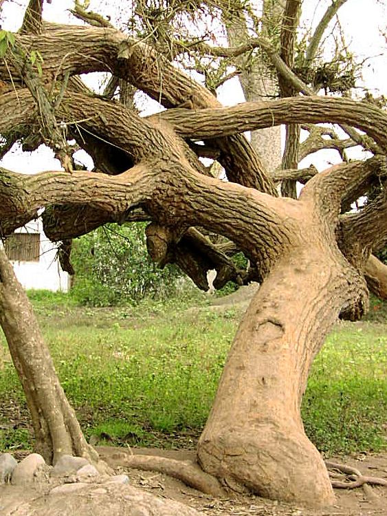 Foto de Huaral, Perú