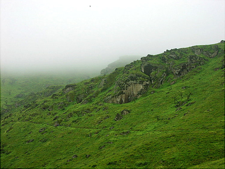 Foto de Lomas de Lachay, Perú