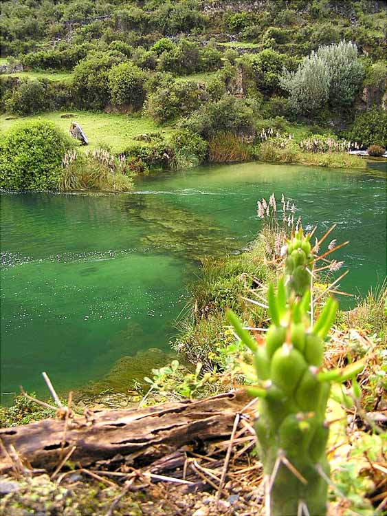 Foto de Huancaya, Perú