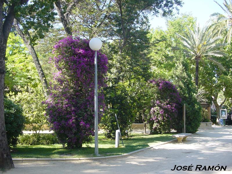 Foto de Jerez  de la Frontera (Cádiz), España