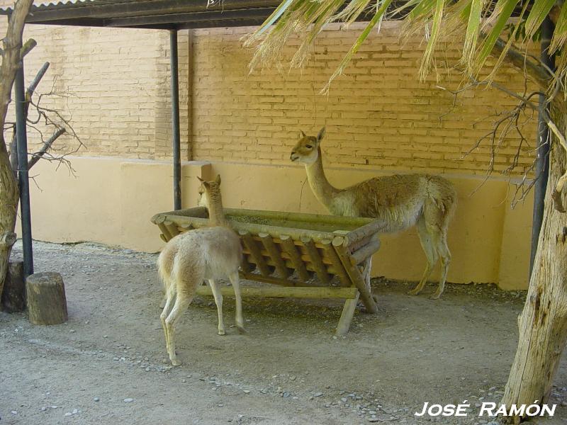 Foto de Jerez  de la Frontera (Cádiz), España