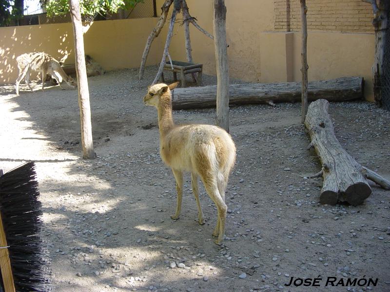 Foto de Jerez  de la Frontera (Cádiz), España