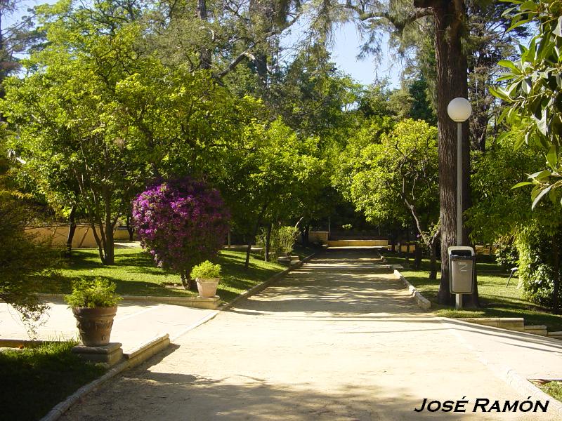 Foto de Jerez  de la Frontera (Cádiz), España