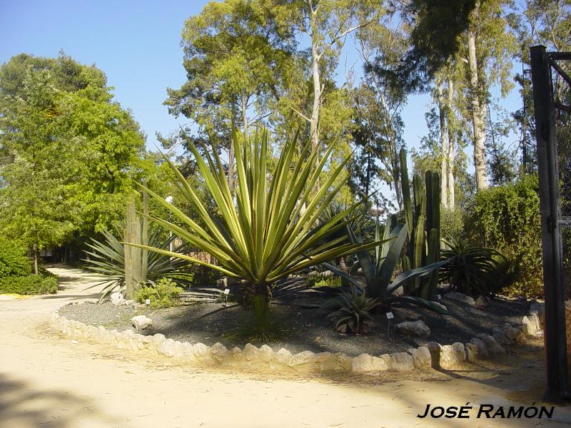 Foto de Jerez  de la Frontera (Cádiz), España