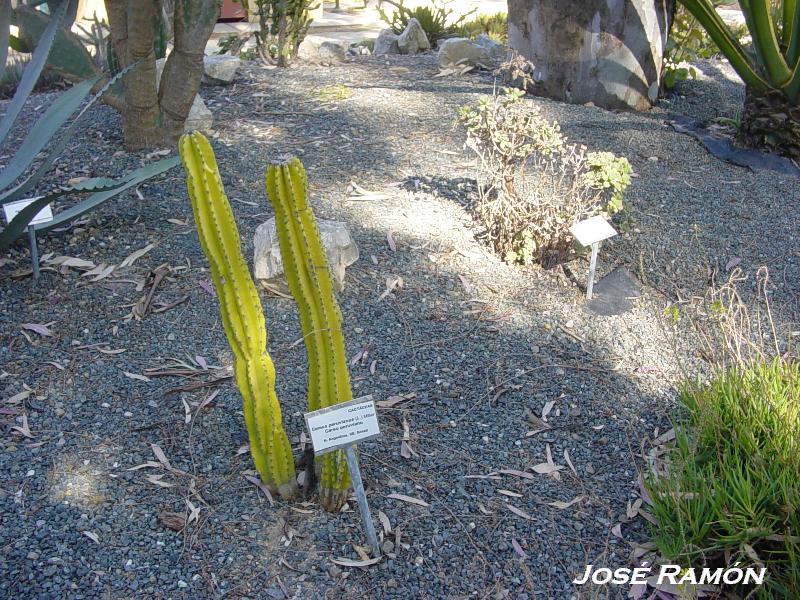 Foto de Jerez  de la Frontera (Cádiz), España