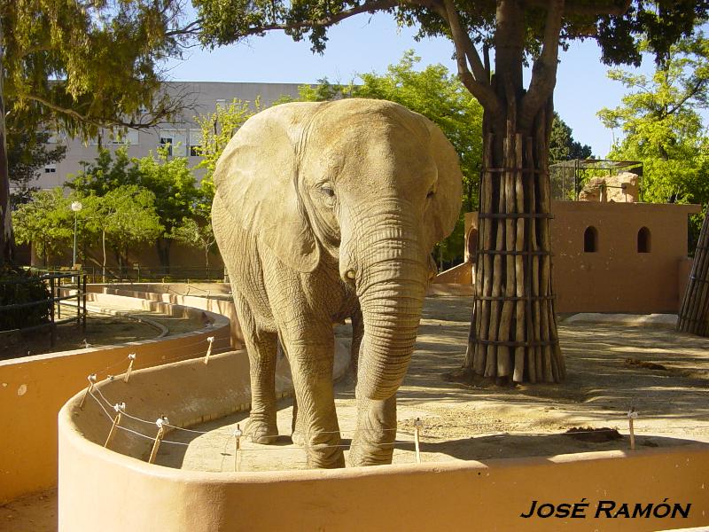 Foto de Jerez  de la Frontera (Cádiz), España