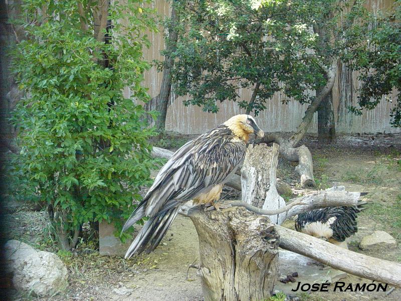 Foto de Jerez  de la Frontera (Cádiz), España