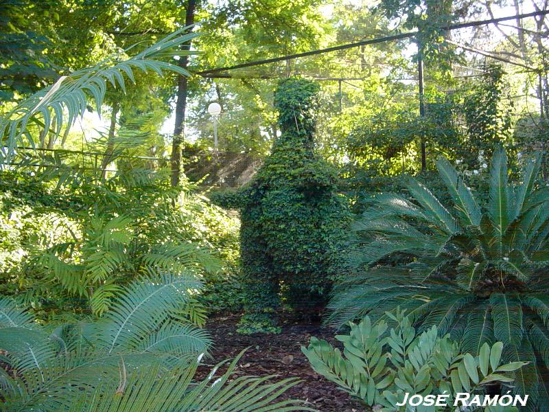 Foto de Jerez  de la Frontera (Cádiz), España