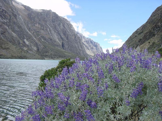 Foto de Llanganuco, Perú