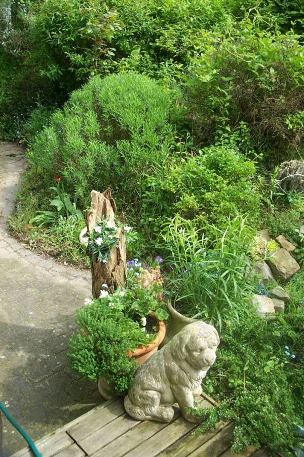 Foto de De Pinte, Bélgica