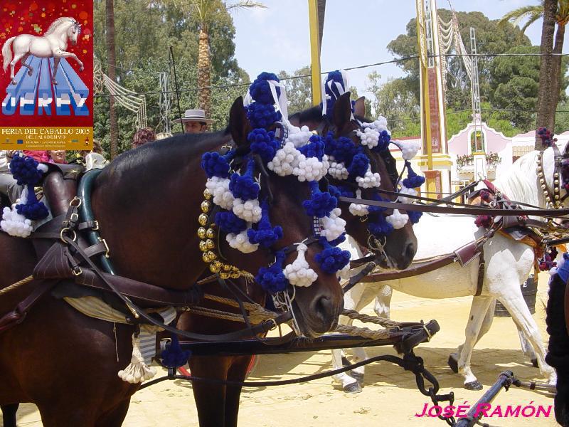 Foto de Jerez  de la Frontera (Cádiz), España